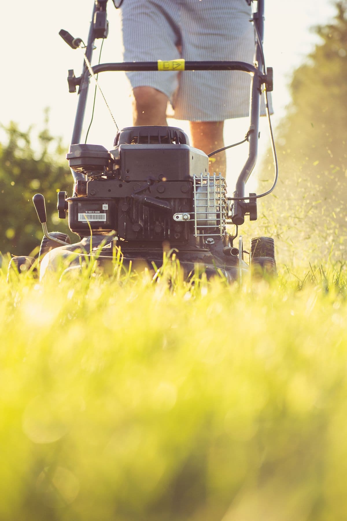 A landscaper mowing a lush green lawn at golden hour